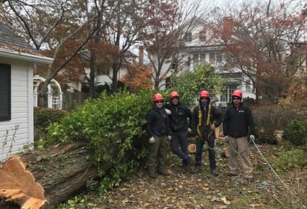 Thompson's Tree Service, LLC