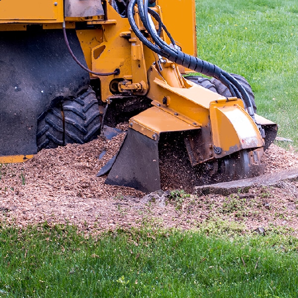 Thompson's Tree Service, LLC