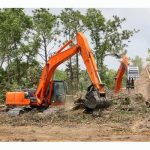 Emergency Tree Debris Removal