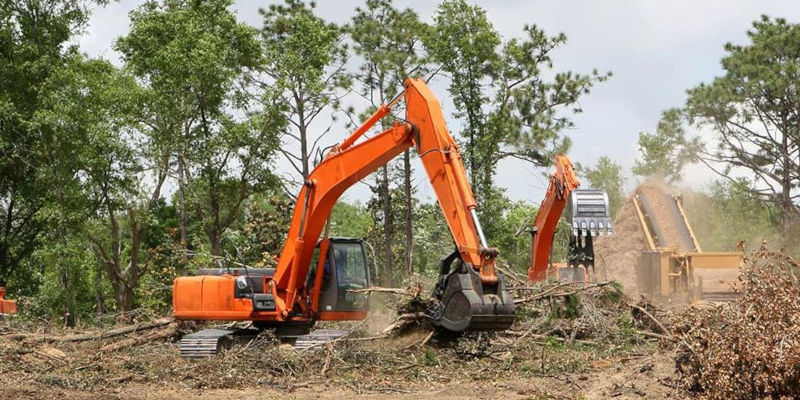 Emergency Tree Debris Removal in Clarksville, Tennessee