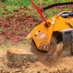 Stump Removal