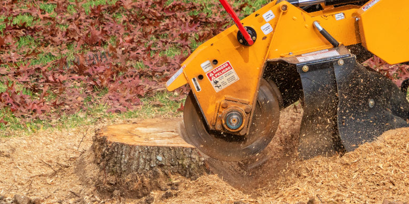 Stump Removal in Clarksville, Tennessee