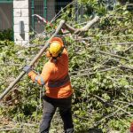 Property Cleanup