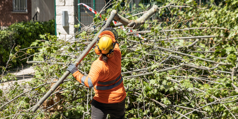Property Cleanup in Clarksville, Tennessee