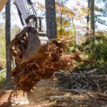 Tree Root Removal