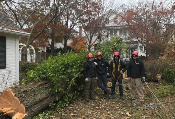 Tree removal crew in safety gear posing next to a large fallen tree trunk in a residential yard.