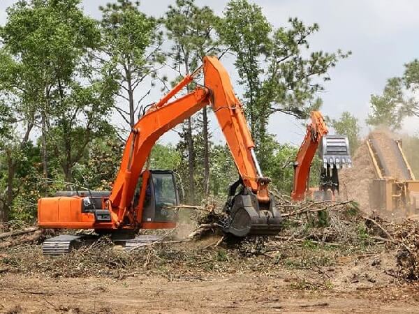 New-Project-11-opt Two orange excavators clearing brush on a construction site with piles of branches and a dump truck in the background.